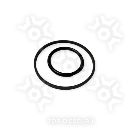 496011 Ремкомплект ГУР М100 большой International PAI купить рис.9