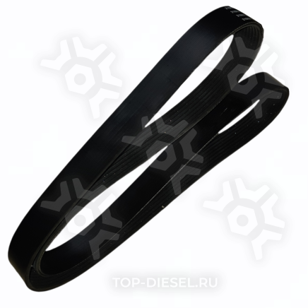 8PK1550HD Ремень! поликлиновой 8PK1550 \MAN Dayco купить