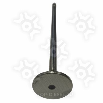 23529596 Клапан впускной Detroit Diesel EGR/Freightliner DD купить