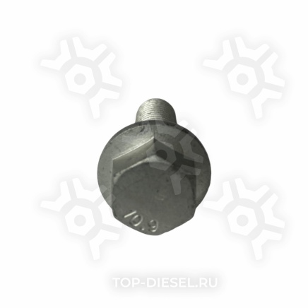 8900405SX Болт кардана с буртом и накаткой M12x1.5x35 MAN Stellox купить рис.2