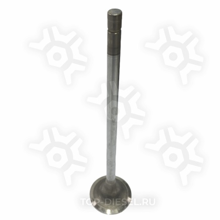 M4965868 Клапан впускной Cummins ISX/QSX, Freightliner McBEE купить рис.2