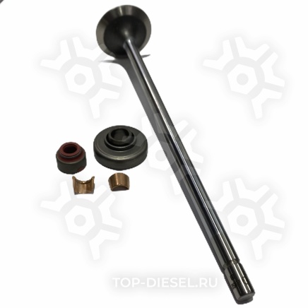 23501576 Клапан впускной мск, сухари Detroit Diesel без EGR/Freightliner/International DD купить рис.2
