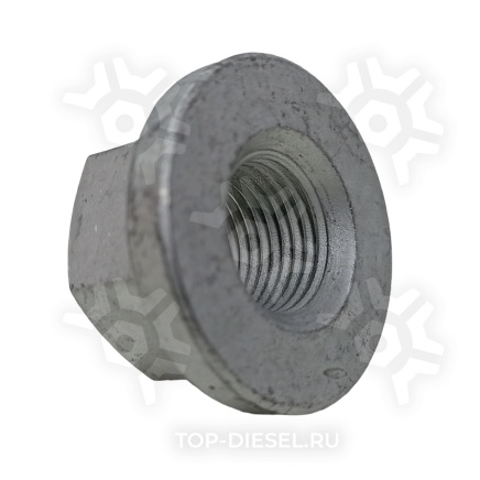 SK272000501 Гайка болта амортизатора M16x1.5 Schmitz S&K GMBh купить рис.2