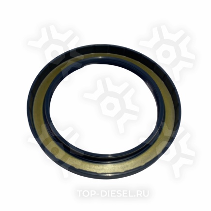 081570 Сальник ступицы задний 120x160x15/13 Renault Premium/Magnum/Kerax Elring купить рис.2
