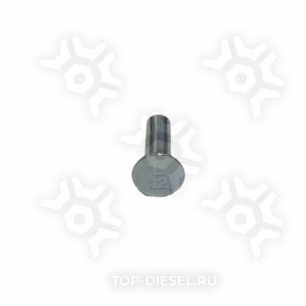 93687 Заклепки L-12 (6.35x19.1) трубчатые стальные комплект 100шт Beral купить рис.2