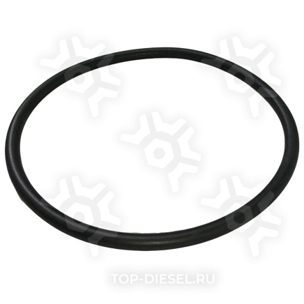 389550 Кольцо уплотнительное 109,2X5,7B-NBR3-70 DT купить рис.2