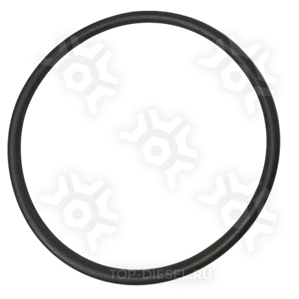 389550 Кольцо уплотнительное 109,2X5,7B-NBR3-70 DT купить