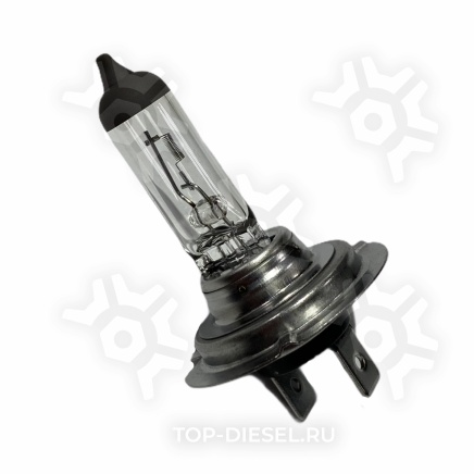 N499 Лампа галогенная H7 55W 12V PX26d Neolux купить