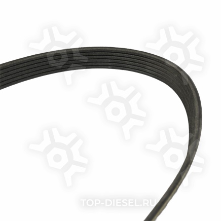 6PK1115 Ремень поликлиновой привода кондиционера Mercedes Benz Alliance купить рис.3