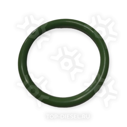 115863 Kольцо уплотнительное теплообменника резиновое (30x3.5) DAF Sampa купить