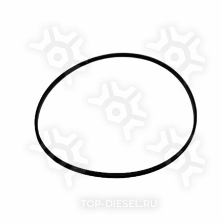 4386754 Кольцо уплотнительное стакана форсунки Cummins ISX/Freightliner/International Cummins купить