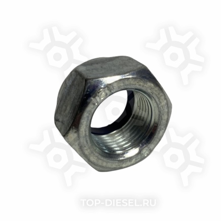0368242209250 Гайка стремянки M24x2 H=19 SW36 Wurth купить рис.2