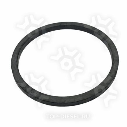 3080770 Кольцо уплотнительноу корпуса термостата Cummins M11, Freightliner/International Cummins купить